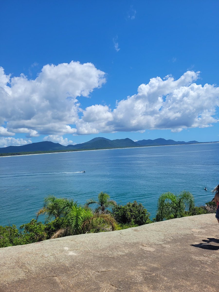 Desirée 🇧🇷 tweet media