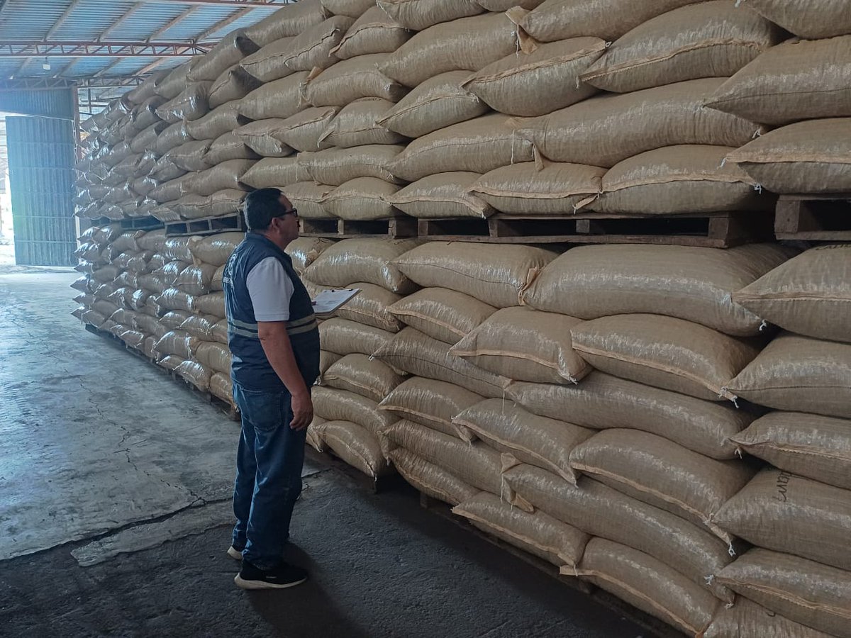 #Manabí | En el cantón El Carmen, realizamos una inspección fitosanitaria de 100.050 kg de cacao en grano de exportación, con destino Países Bajos, para determinar la presencia de plagas.
#ExportamosCalidad 🇪🇨