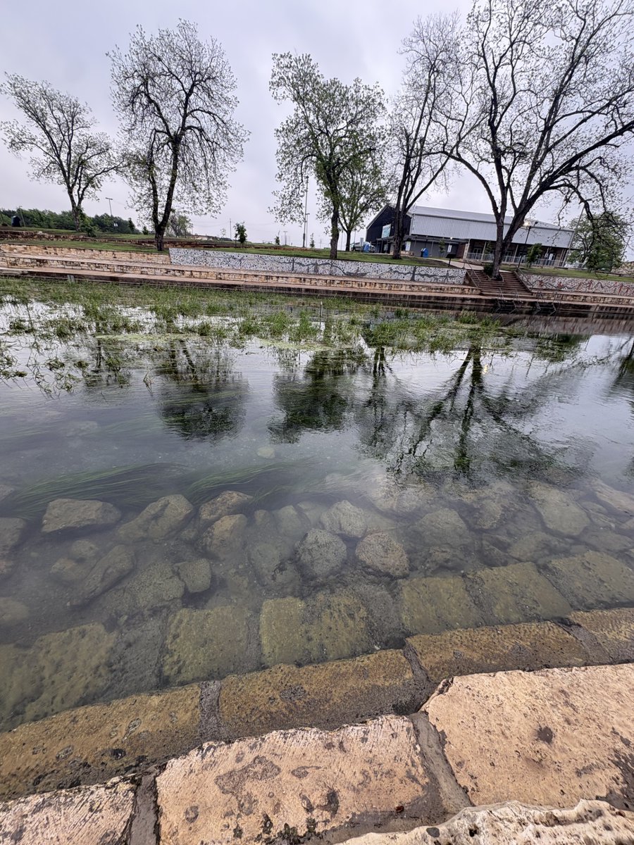 Jakob R. Rodríguez tweet media