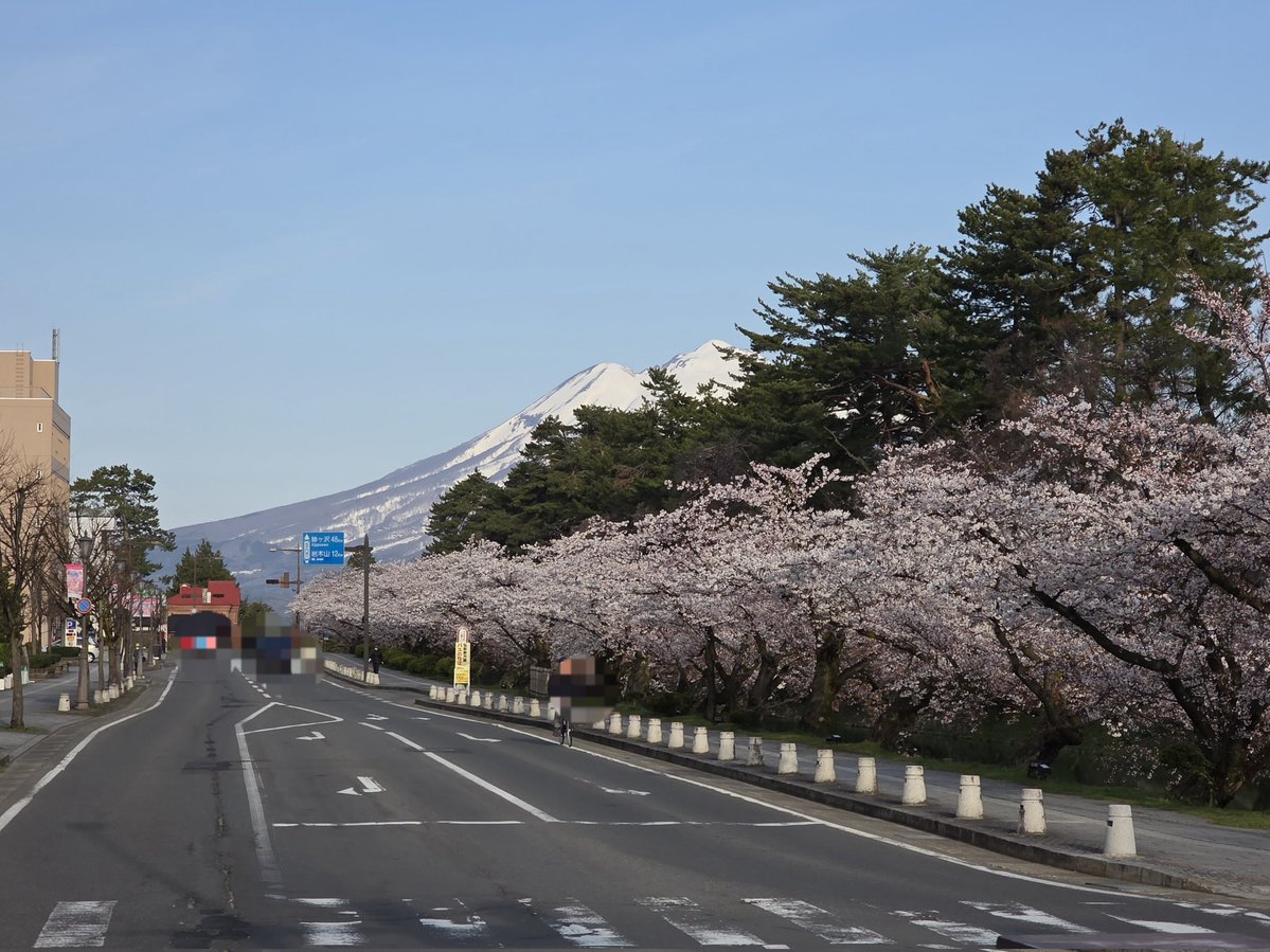 ポム🍎🍏 tweet media