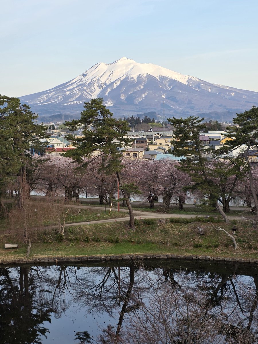 ポム🍎🍏 tweet media