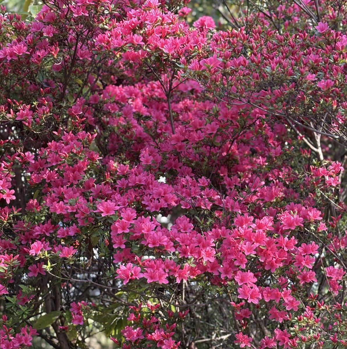 もと子 tweet media