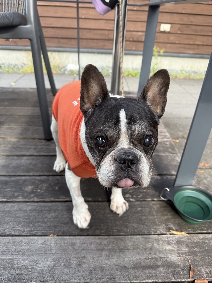 親方さん tweet media