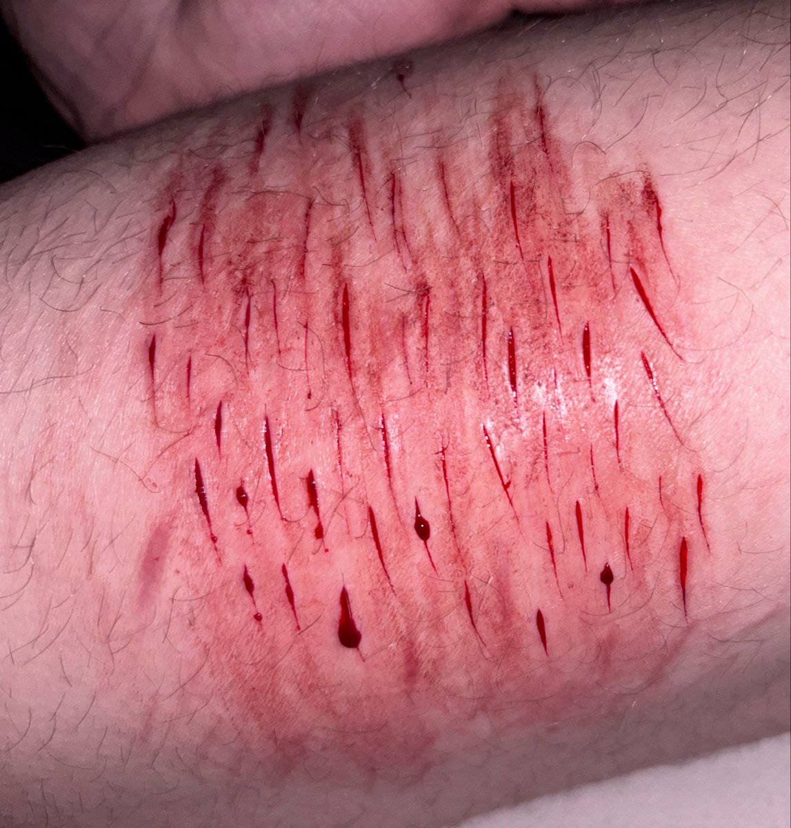 blue ᭝ ᨳଓ ՟ tweet media