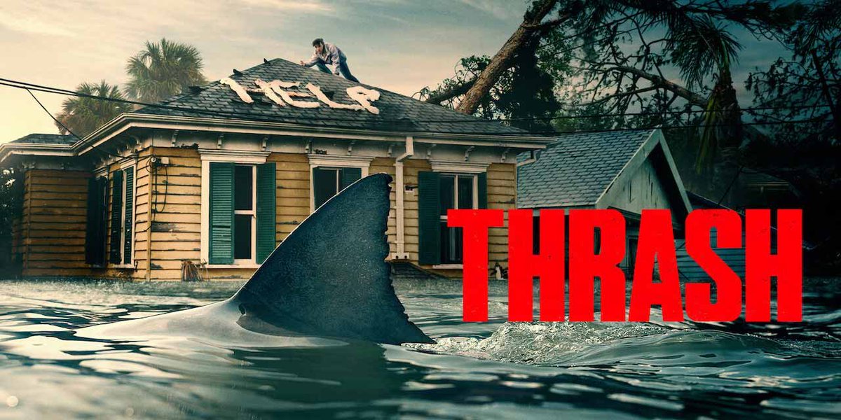 Classic Film TV Cafe tweet media