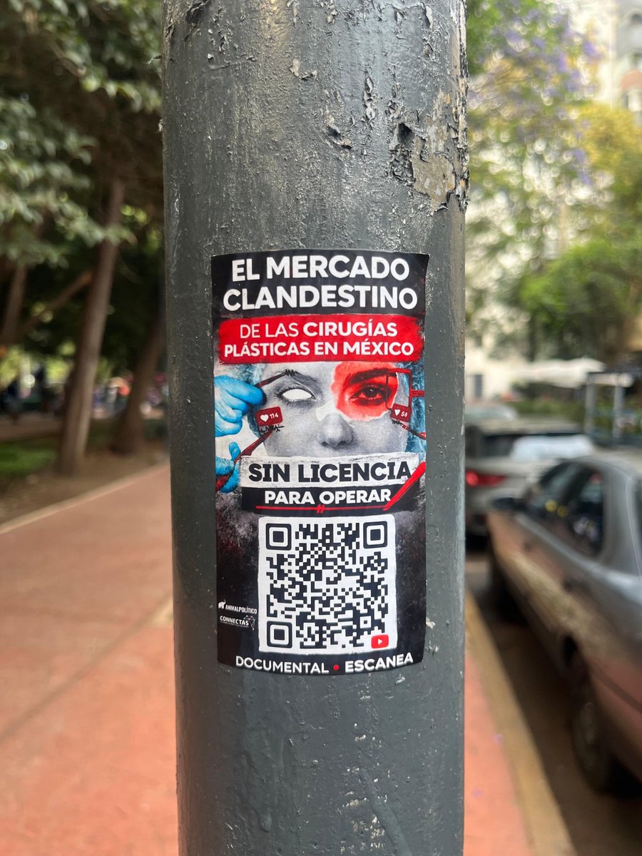 Gloria Piña tweet media