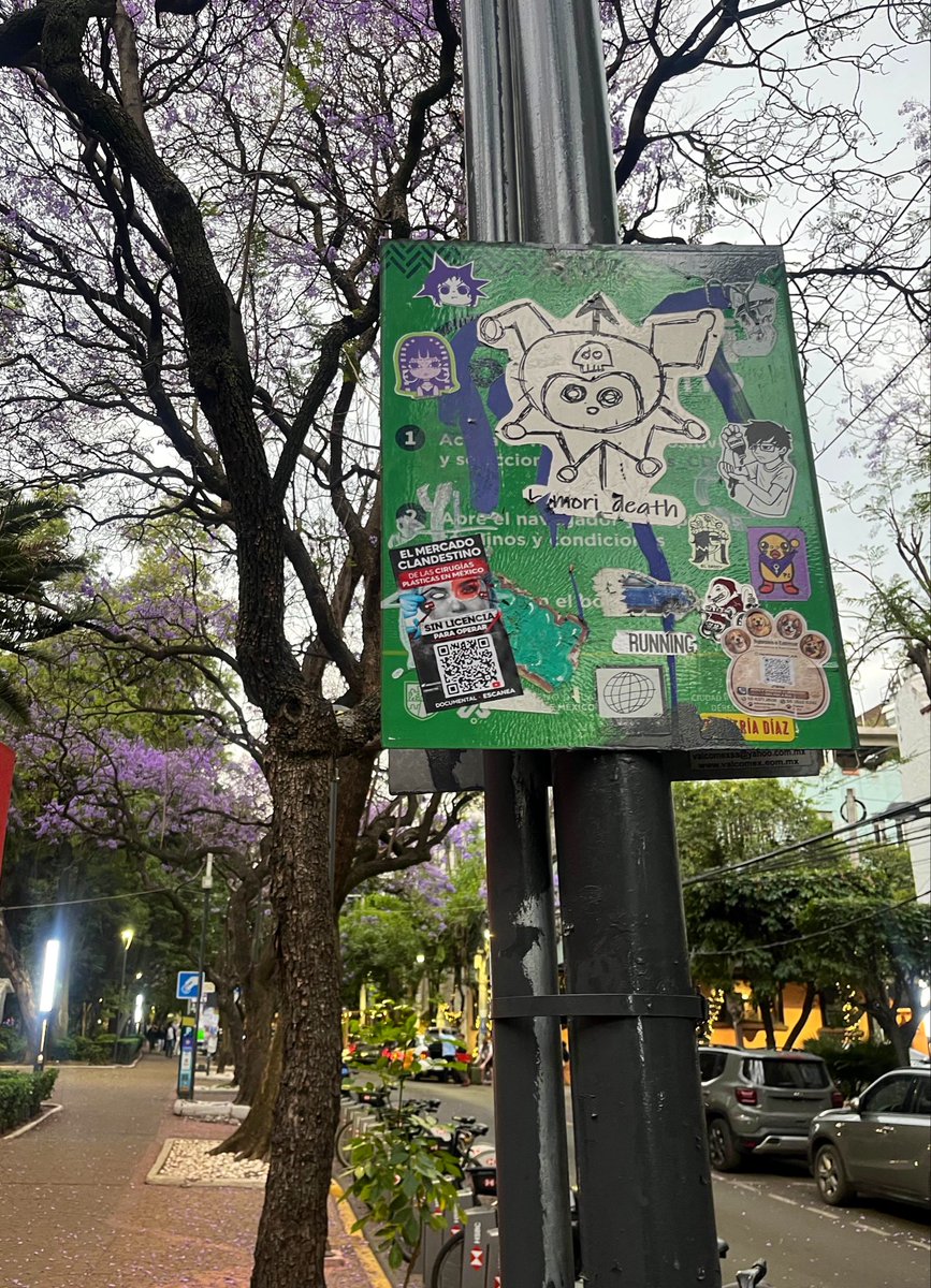 Gloria Piña tweet media