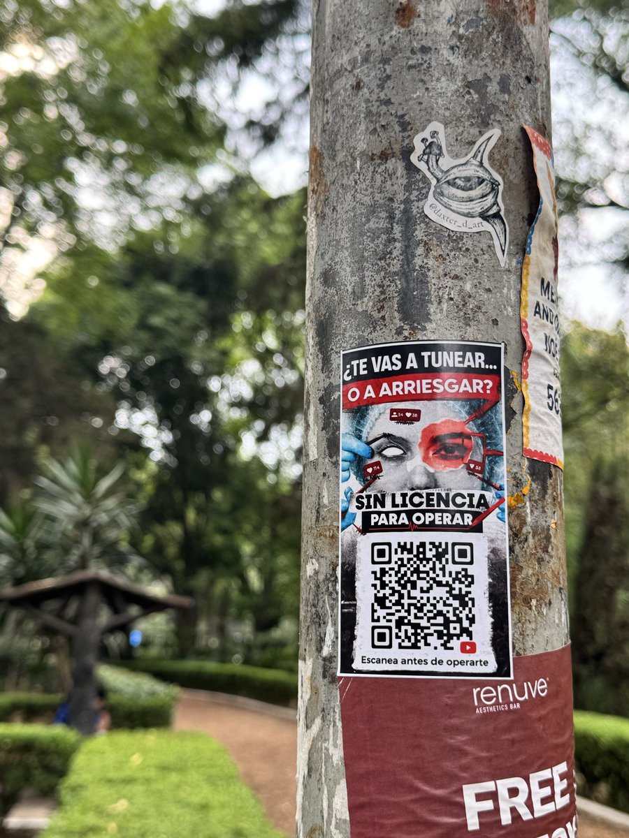 Gloria Piña tweet media