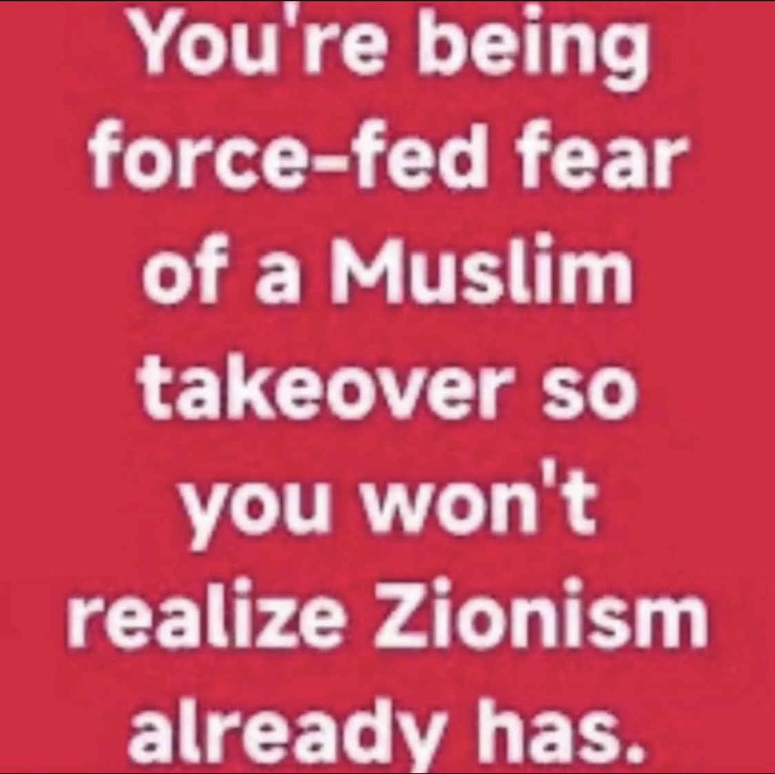 Amanda 🇺🇸🇮🇪✝️🕊️🩸 tweet media