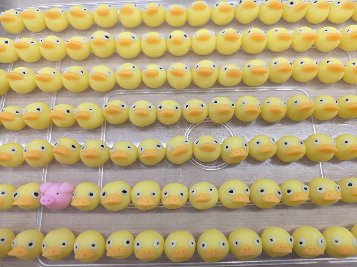 間違い探し。一匹だけ迷子です🐷