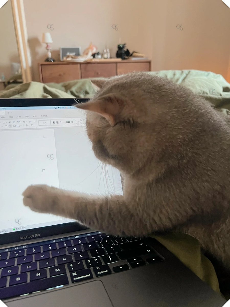 andrea stidham tweet media