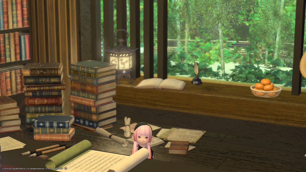 ♔.ﾟJoe🐥⸒⸒☽･:*🌱cotori🐿🌱 tweet media