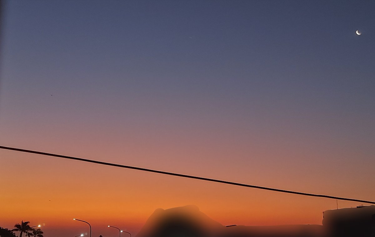 ⚧️€ 𝓢𝓺𝓾𝓲𝓭𝓼 §⚧️ tweet media