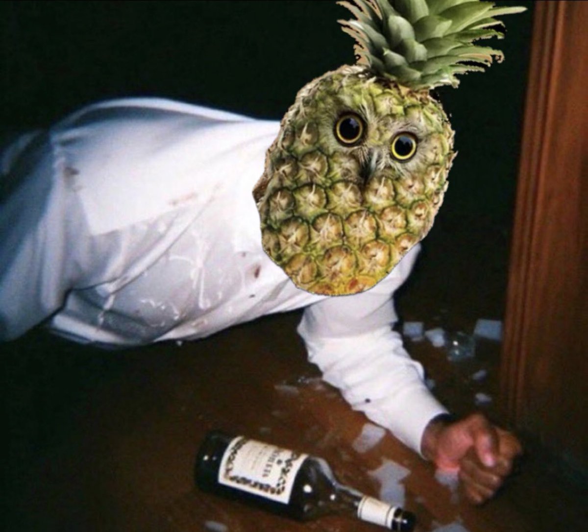 PINEOWL 🍍🦉 tweet media
