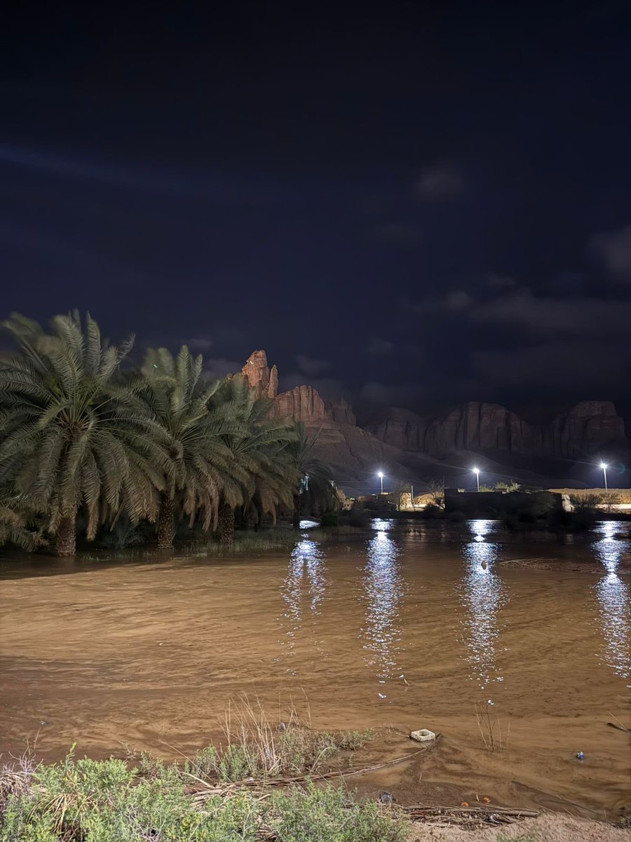 سديم محمد tweet media