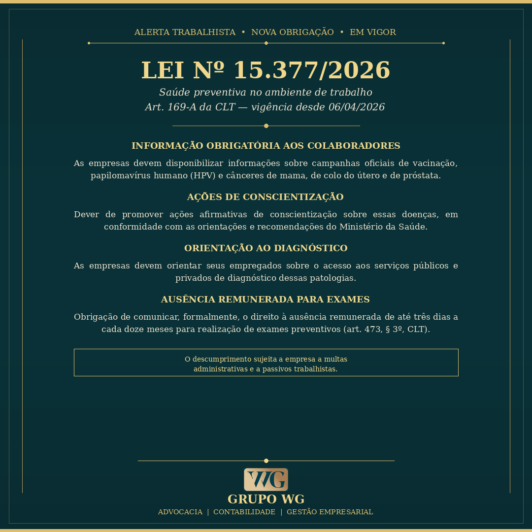 LWG BRA-USA 🇻🇦🇧🇷🇺🇸 tweet media