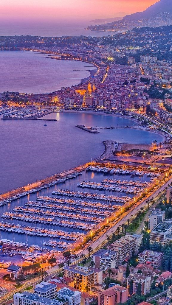 beauti_animals's tweet image. French Riviera, France 🇫🇷