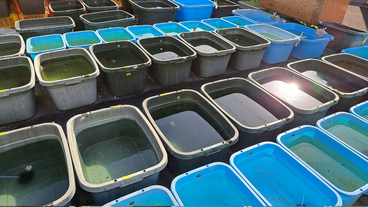 安らぎAQUAちゃんねる【YouTube】 tweet media