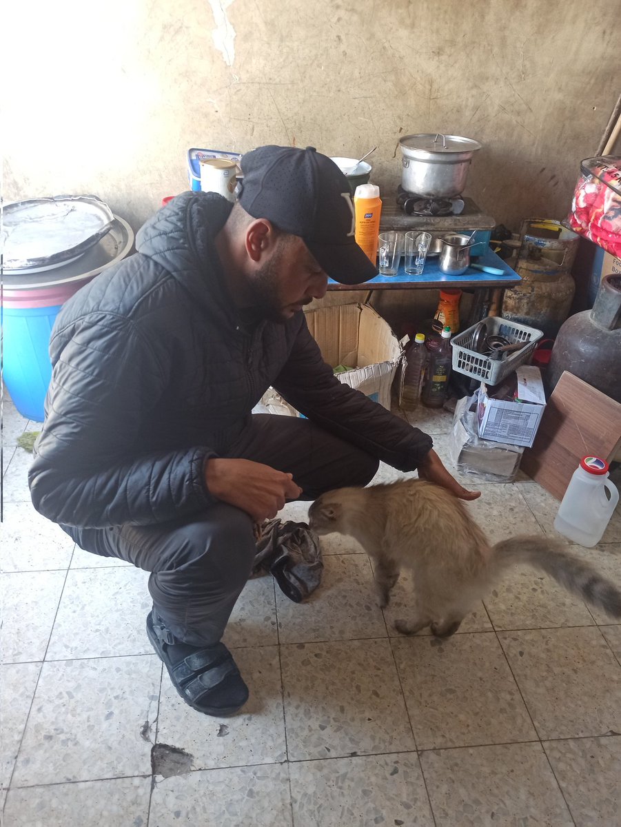 omar almasri 🇵🇸 tweet media