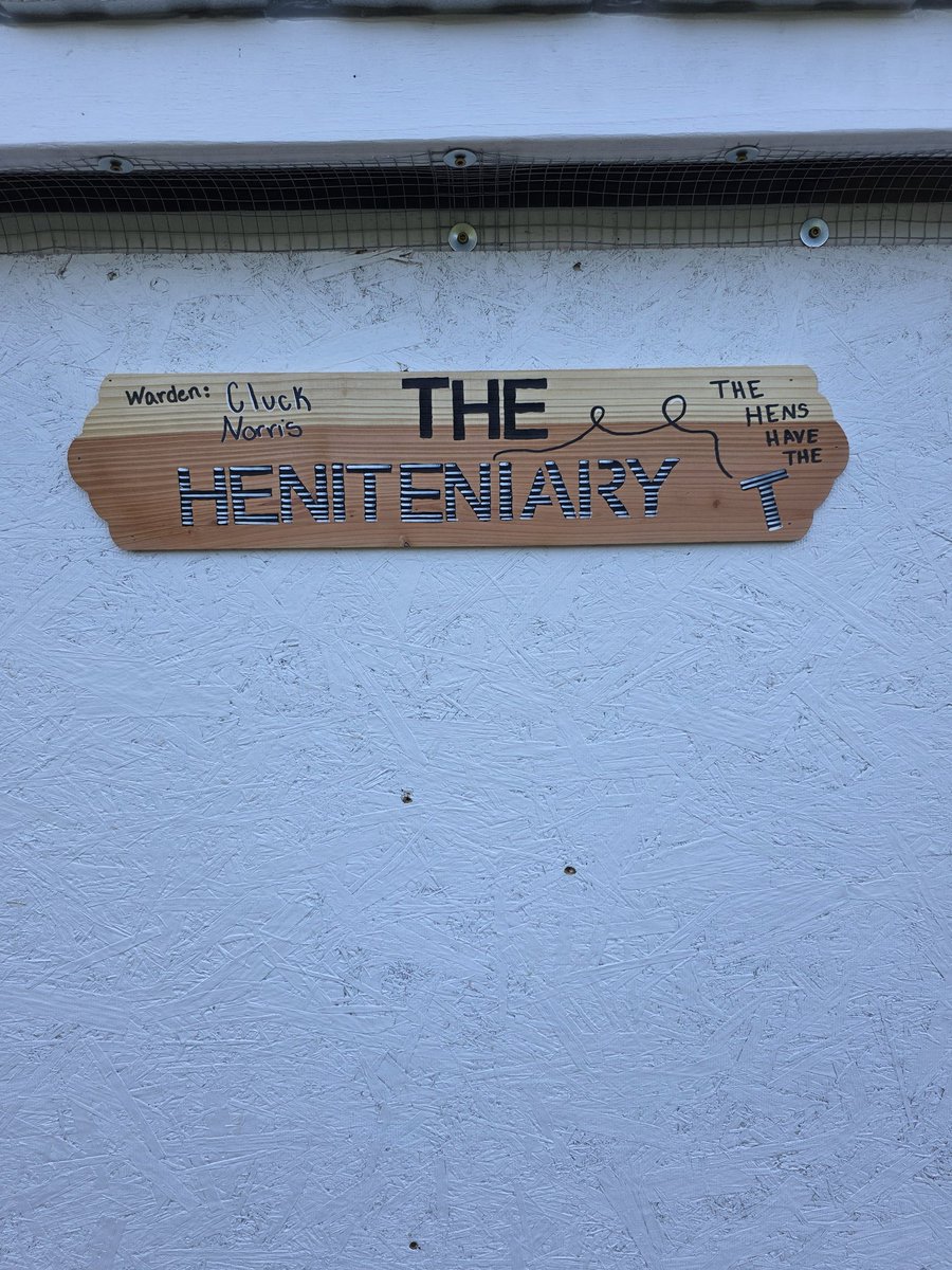 Mikey💯🇺🇸 tweet media