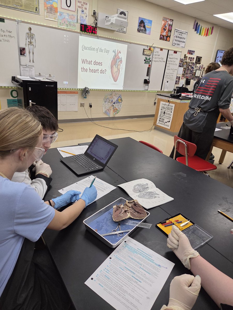 EHS Life Sciences - Rachel Hauck tweet media