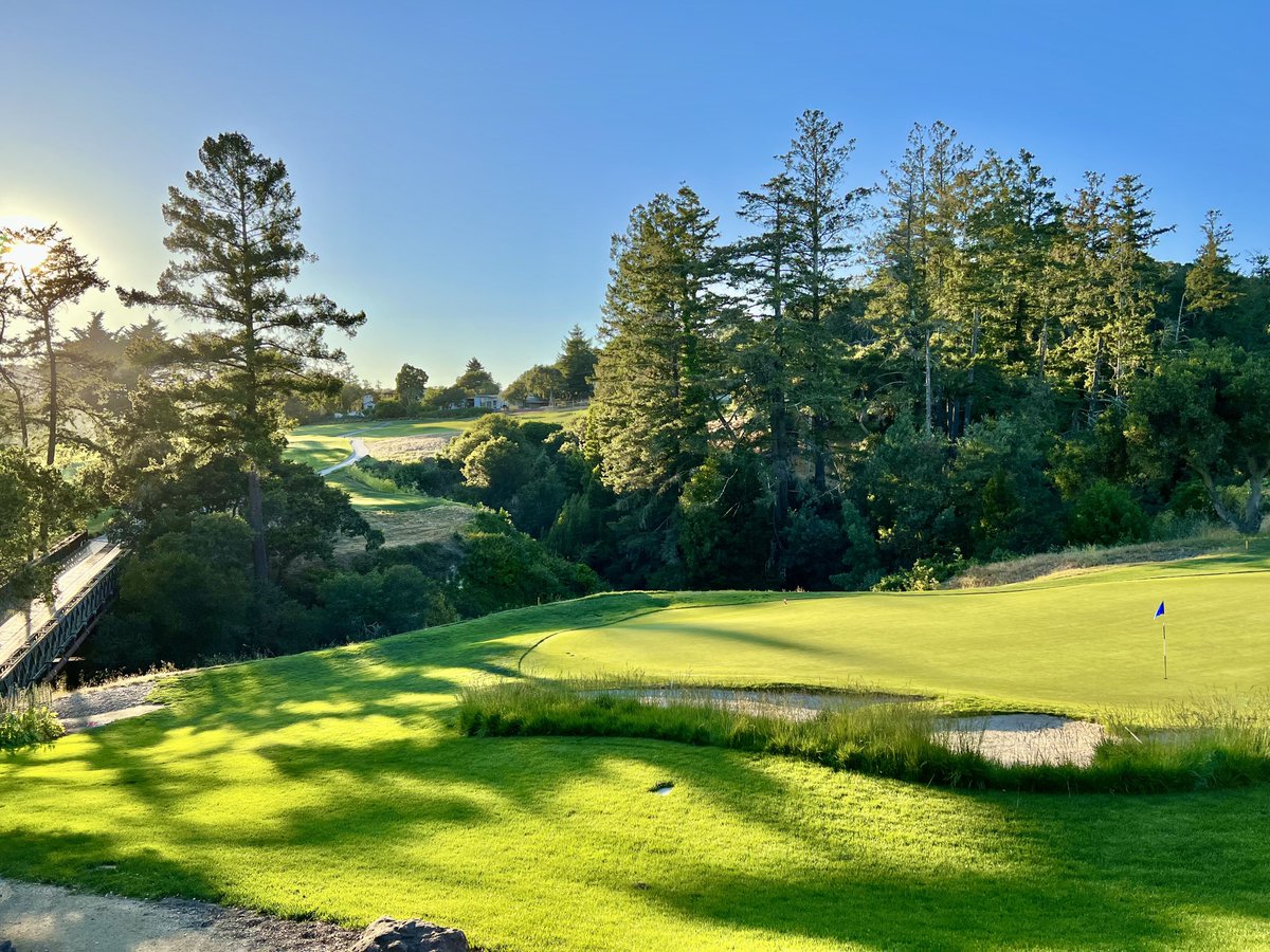 Pete Pappas tweet media