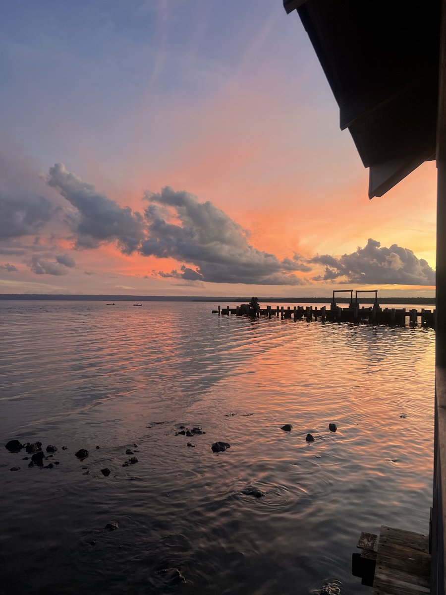 SePerdioelValor tweet media