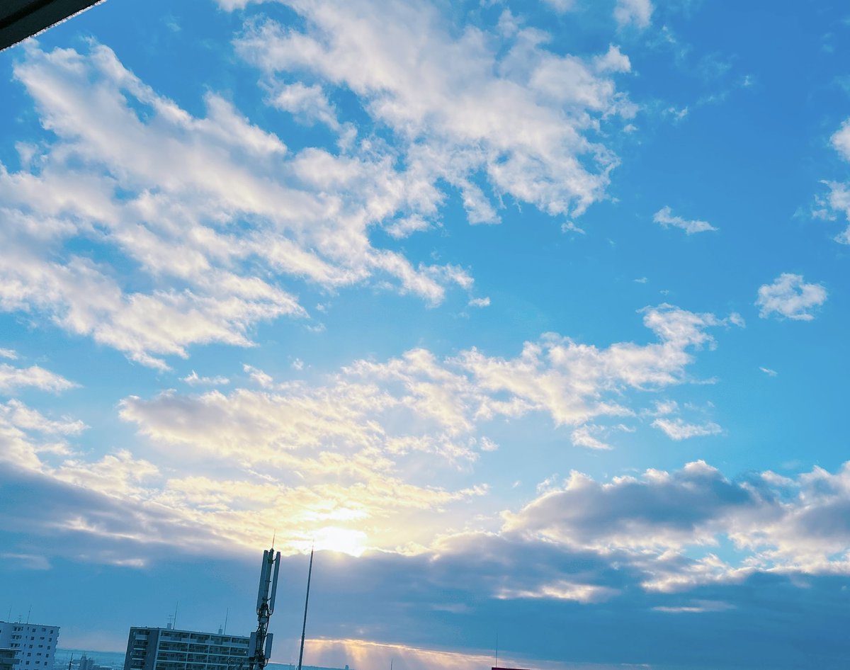 𝑐𝑦𝑎𝑛 tweet media