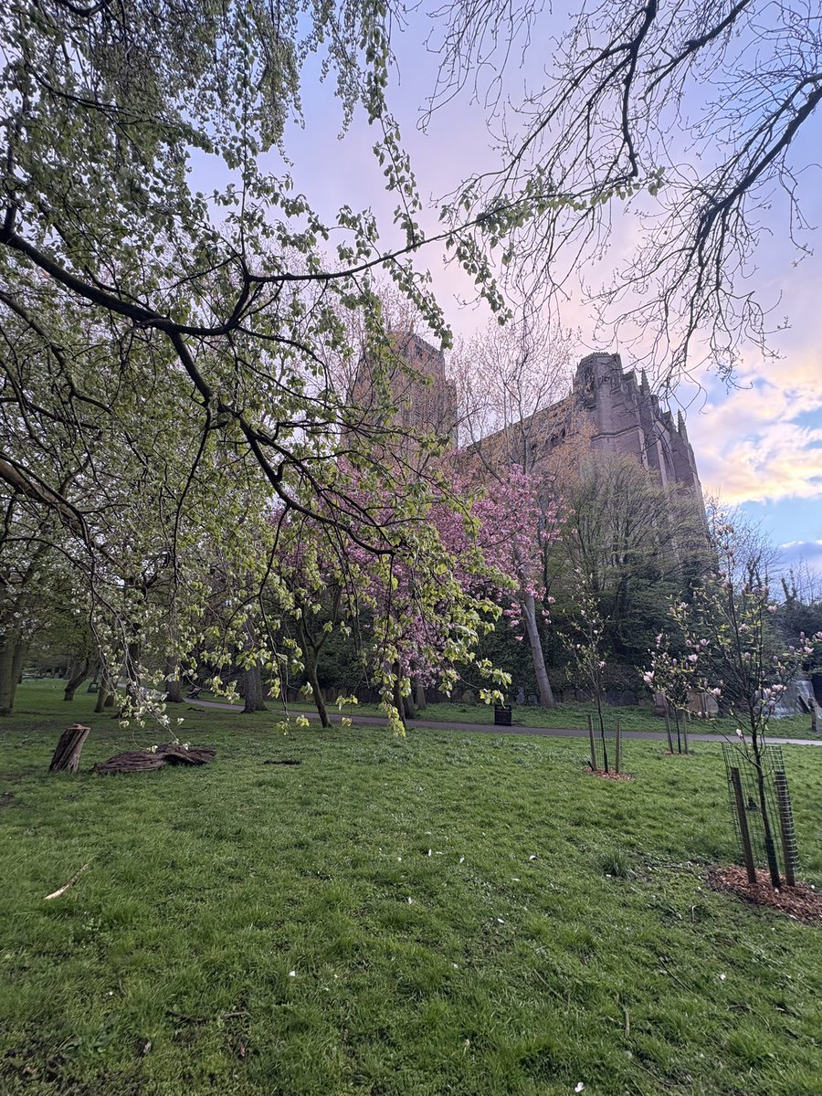 Shiverpool's tweet photo. Brilliant clean up session with Friends of St James’ Garden tonight and the amazing @GoodGymLpool so much accomplished tonight 💪🪏⚰️🪦☺️ well done all 😍 https://t.co/xPHB4IW69m