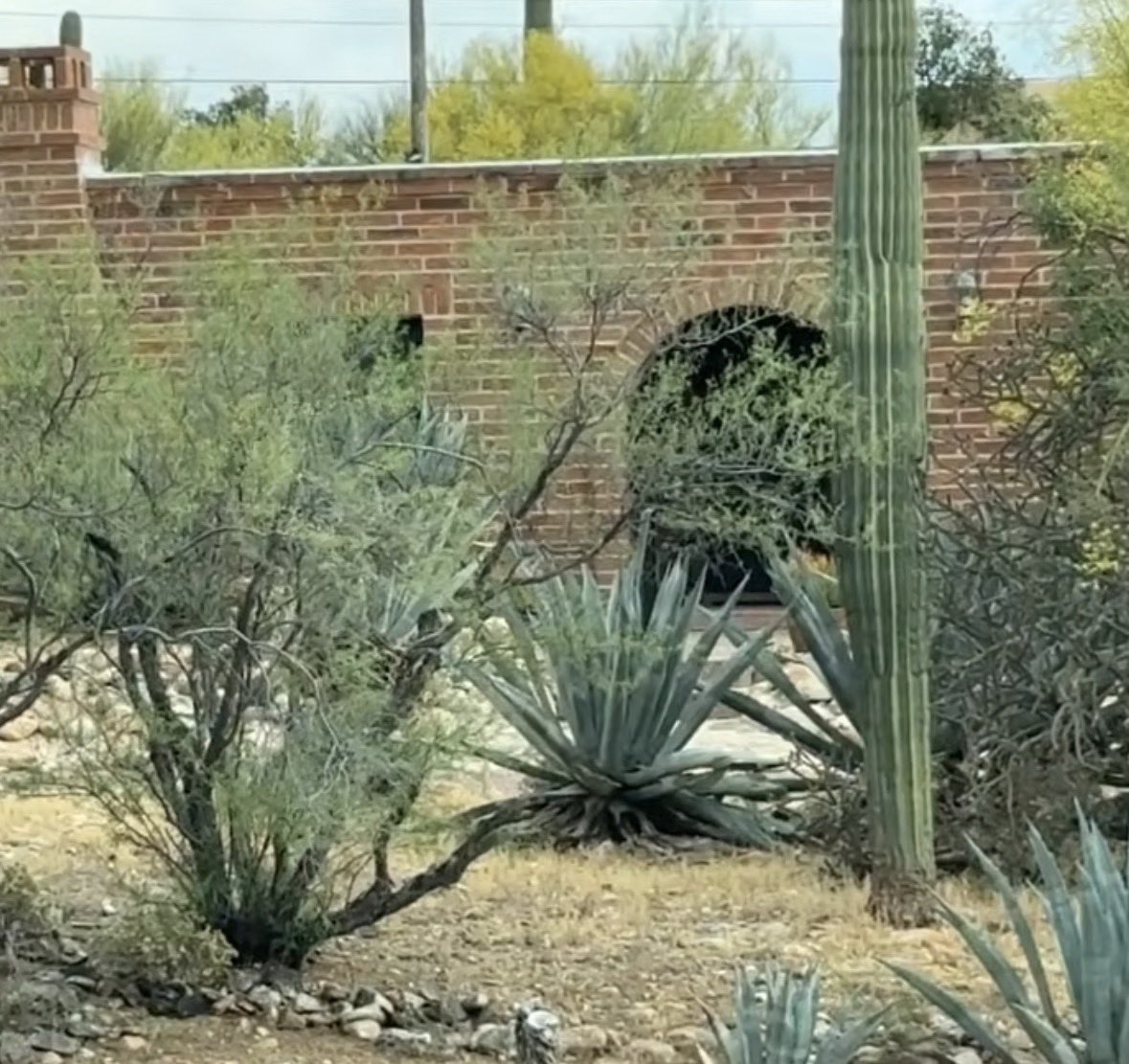 Adriienne F tweet media