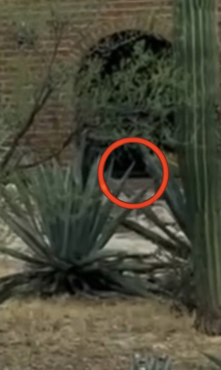 Adriienne F tweet media