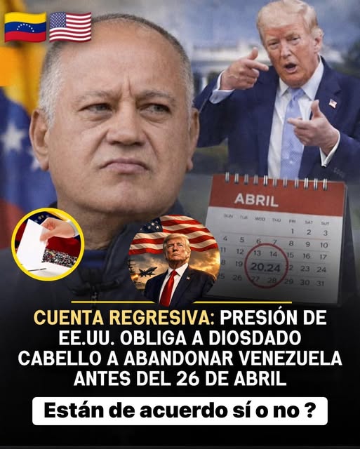 Mary Luz 🎉🇻🇪 tweet media