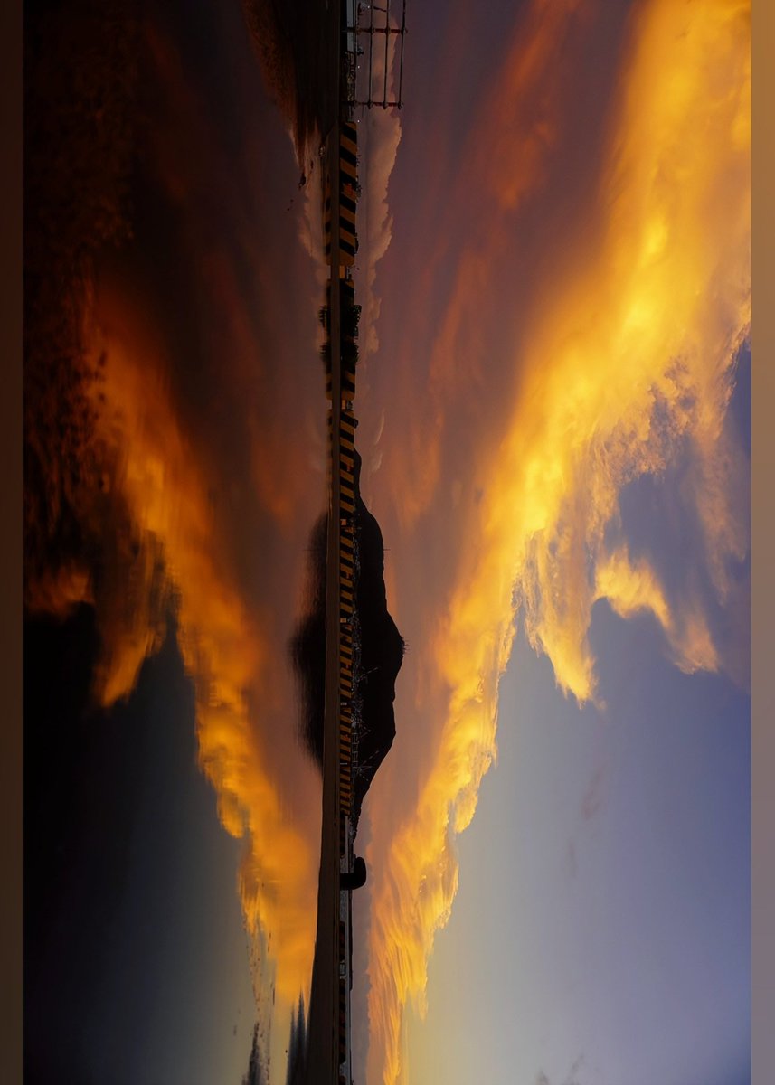 hanamaru tweet media