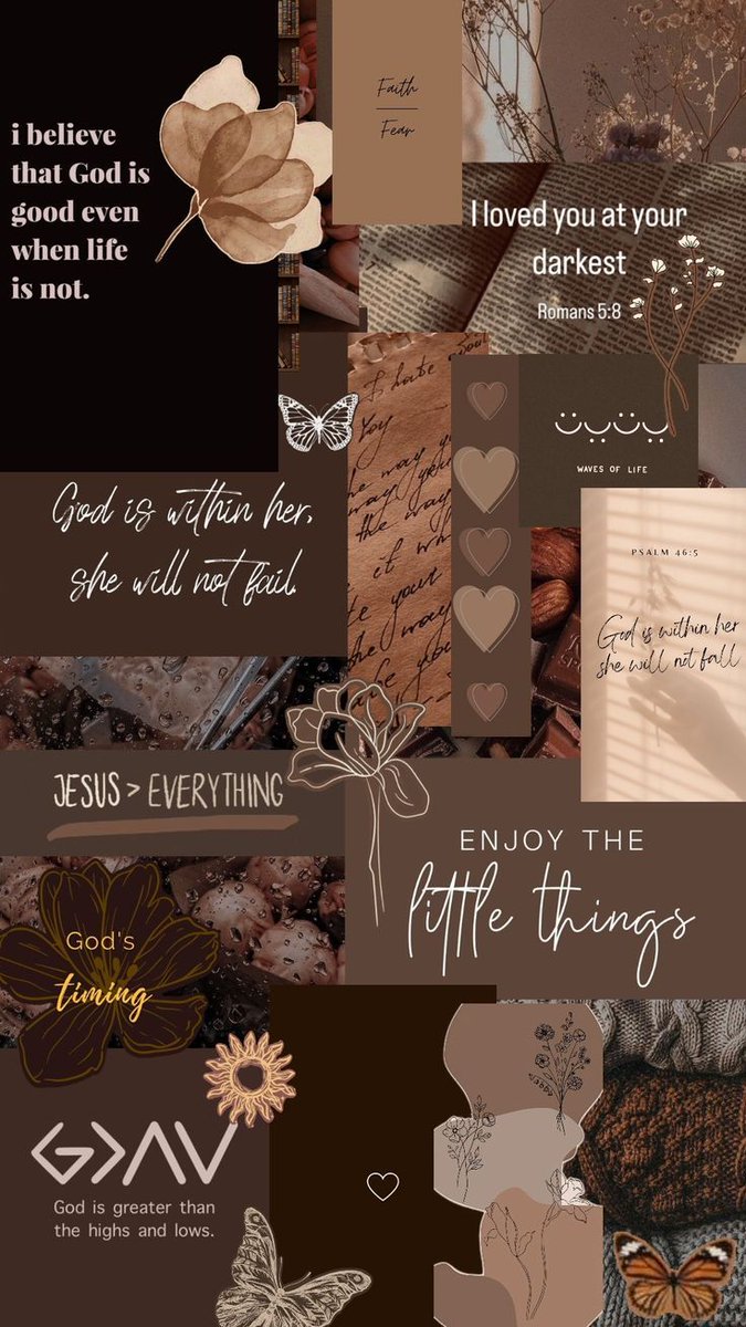 Phebe🌟 tweet media