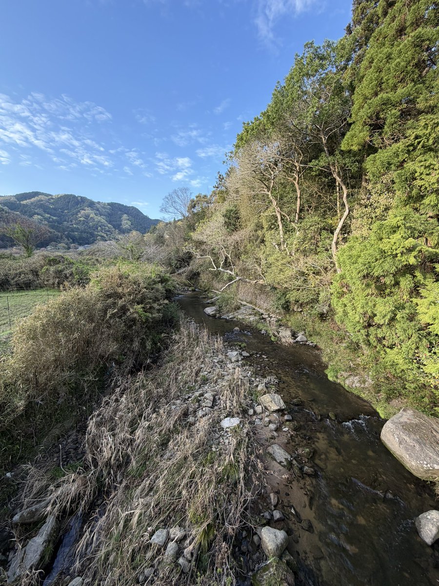 日常の中のfantasy 【所属:Team Mr.Children】 tweet media