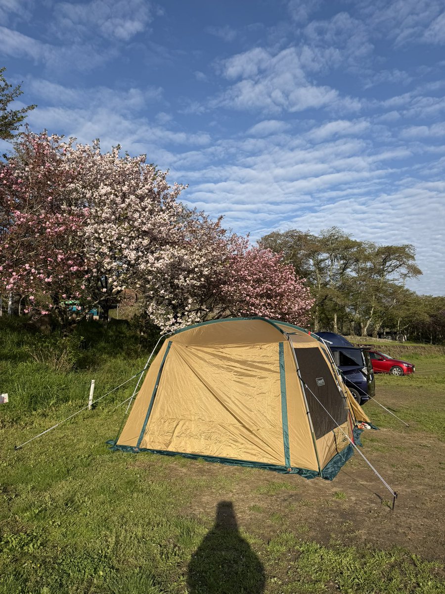 日常の中のfantasy 【所属:Team Mr.Children】 tweet media