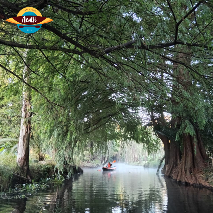 AcalliKayakClub's tweet photo. Acalli no es una marca.
Es una palabra.
En náhuatl, significa embarcación.
Una estructura que flota.
Una forma de moverse sobre el agua.
Elegimos esa palabra porque no hablamos de kayaks,
hablamos de cómo se recorre el territorio.
Acalli
Una forma de estar en el agua.
#Xochimilco https://t.co/1bc2eJ5U4m