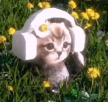 ester bond ≽^•⩊•^≼ tweet media