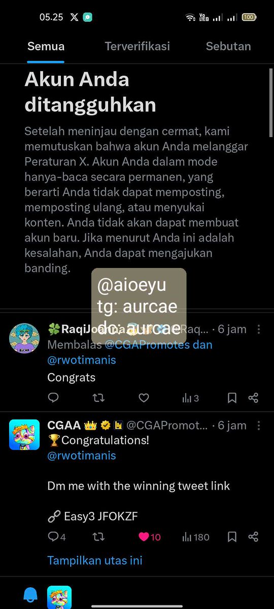 amelia tweet media
