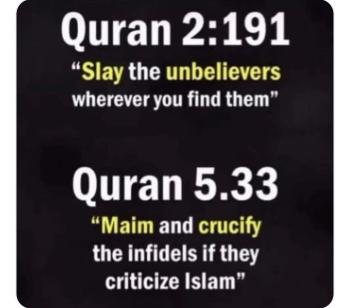 FirstCount tweet media