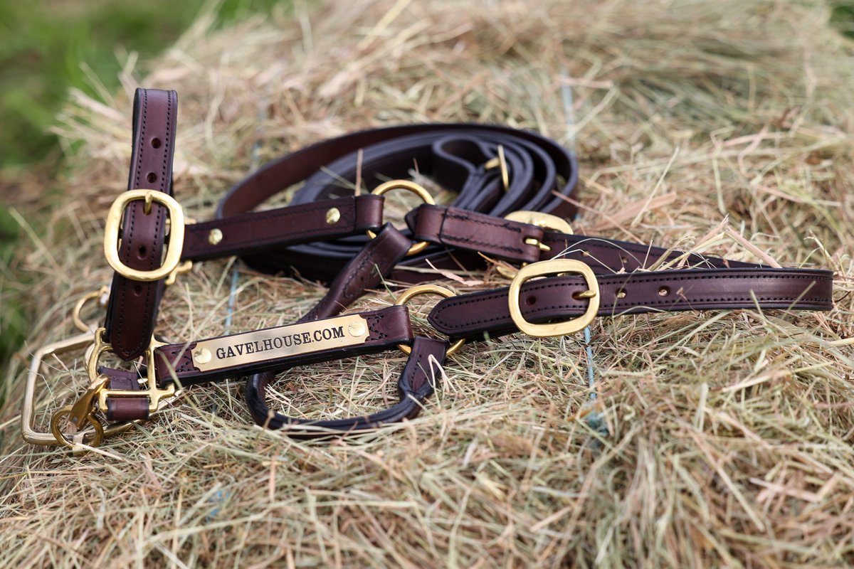 New Zealand Bloodstock tweet media
