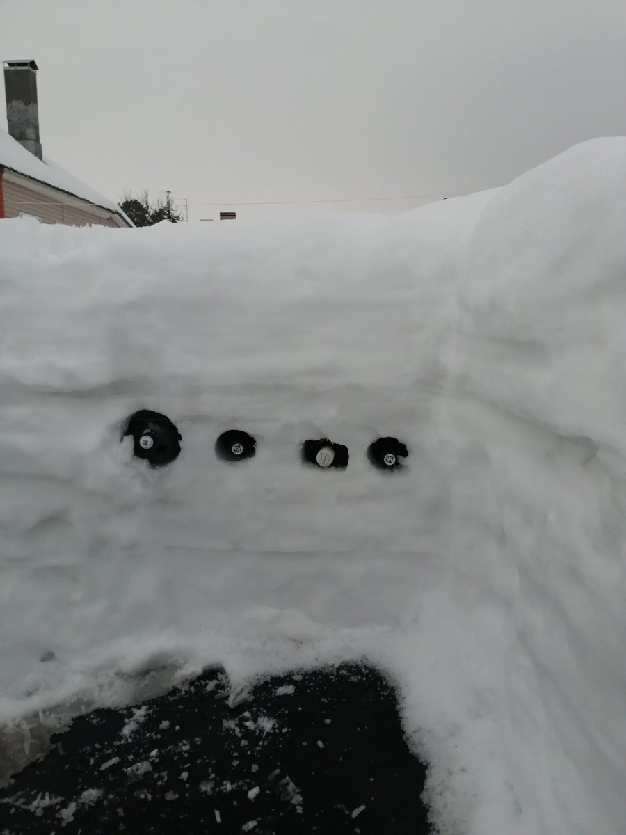 нейродурак tweet media