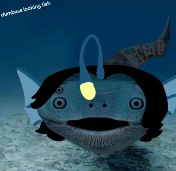 Sebastian Solace tweet media