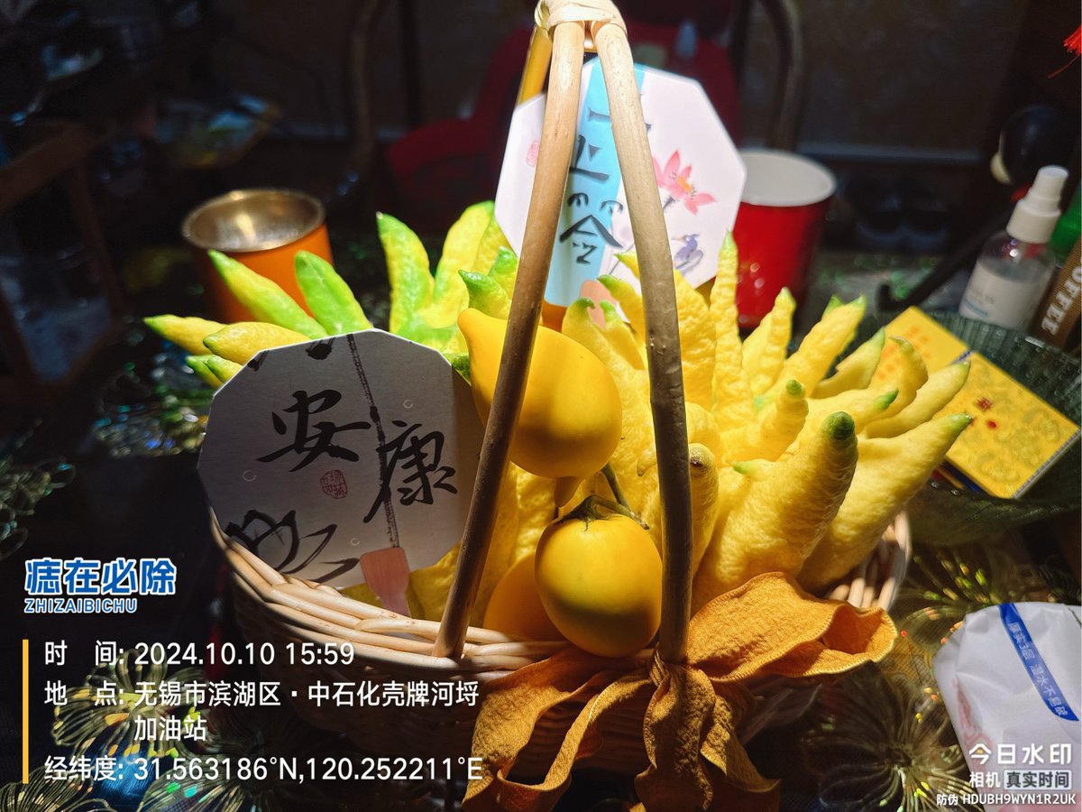 Tuana-Jade Sánches tweet media