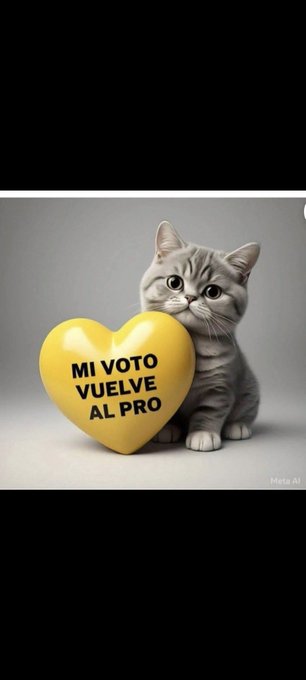 SAGUS ..SOY AMARILLO 💛💛 tweet media