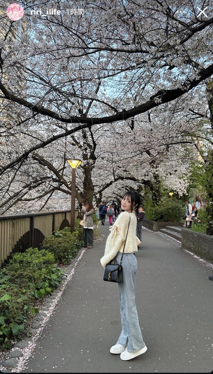 もも 🍚❤️ tweet media