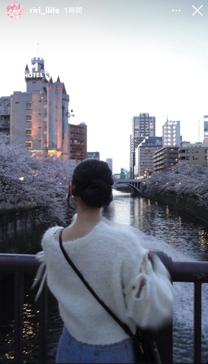 もも 🍚❤️ tweet media