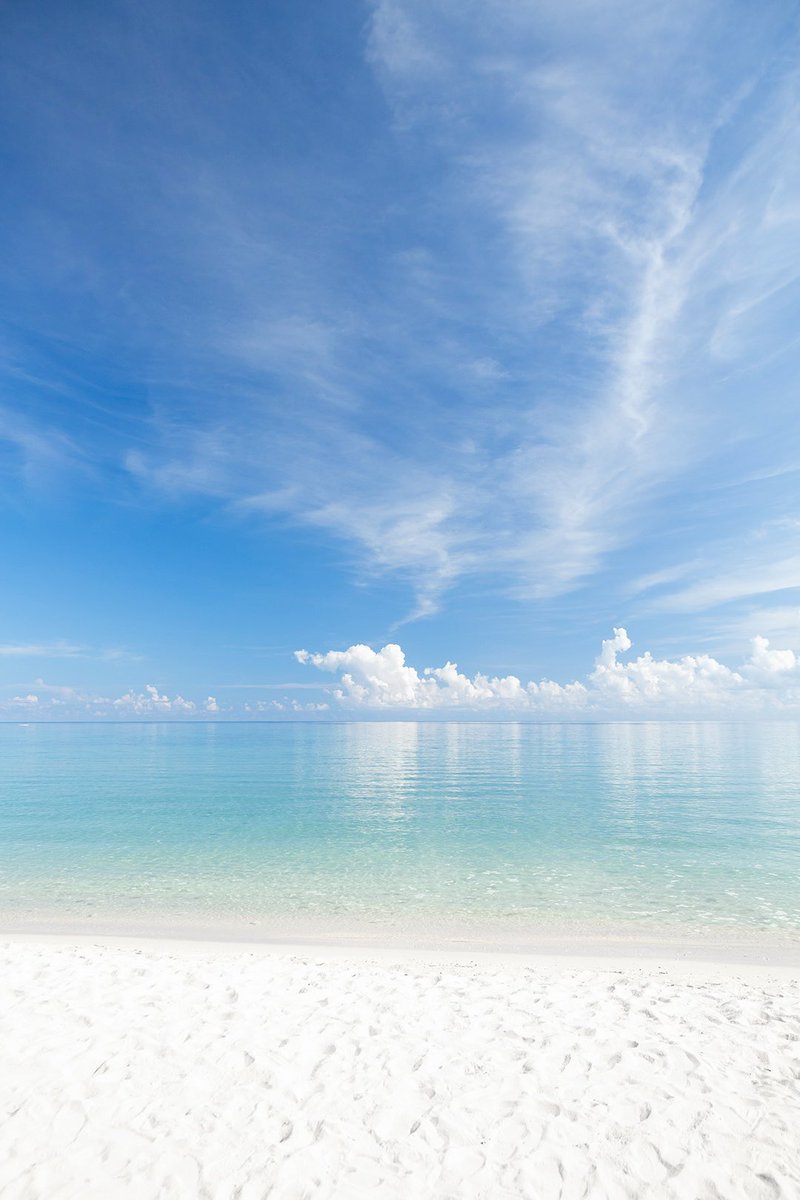 Atsushi 沖縄 Photographer tweet media