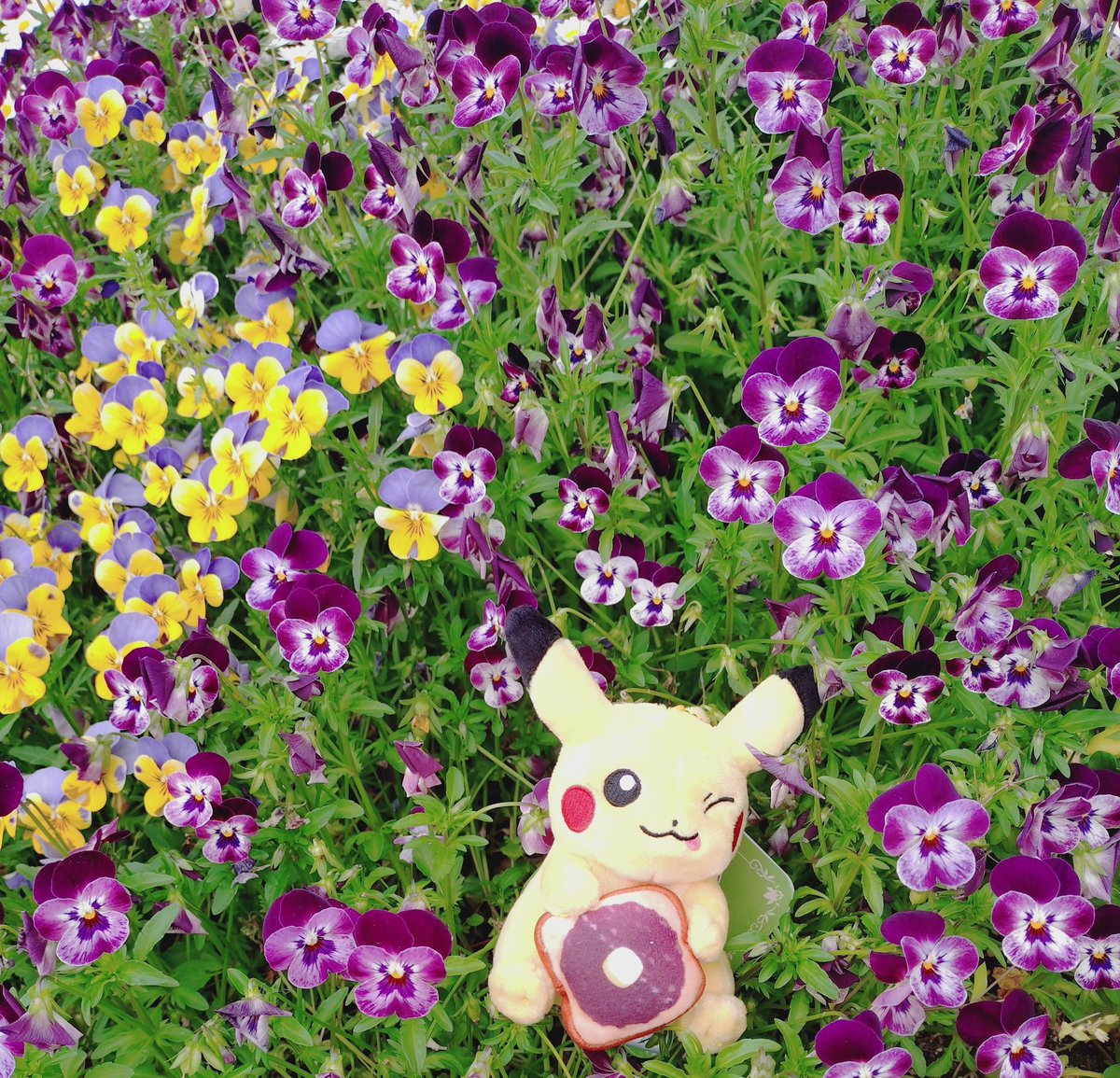 rabbit-sky🌙🐇🐟@NMLV 公開リハ𝑎𝑛𝑑千秋楽 tweet media