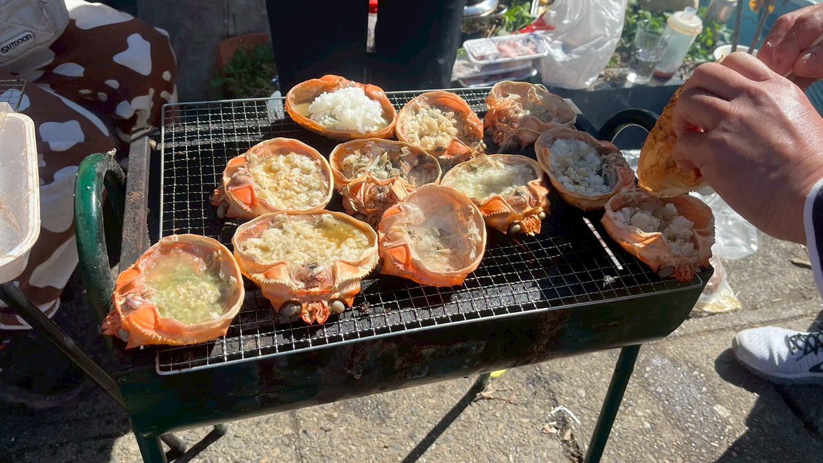 かねこゆうが tweet media